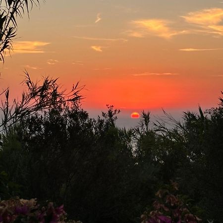 Villa Moma Giardino, Tennis E Piscina Panoramica Ischia Eksteriør bilde