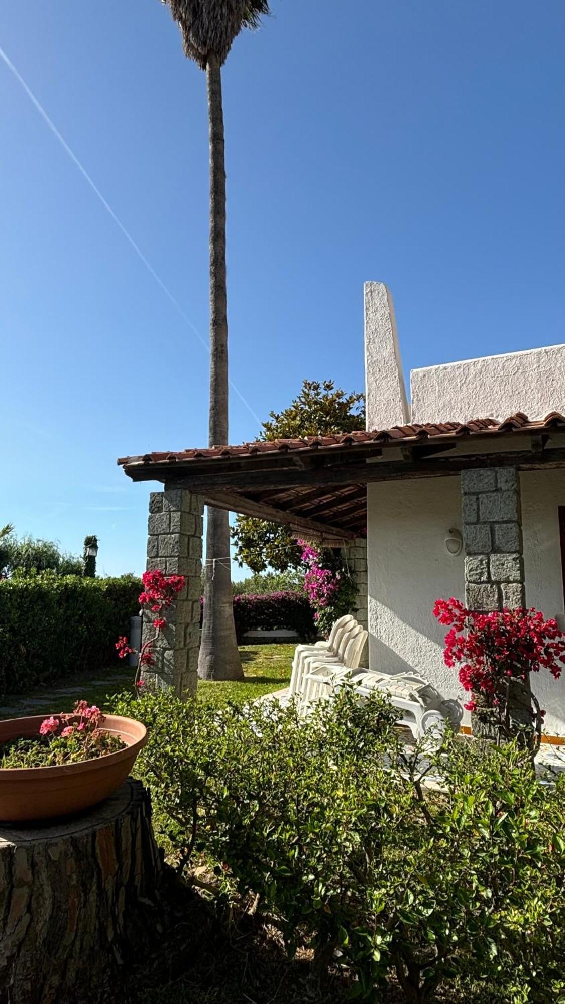 Villa Moma Giardino, Tennis E Piscina Panoramica Ischia Eksteriør bilde