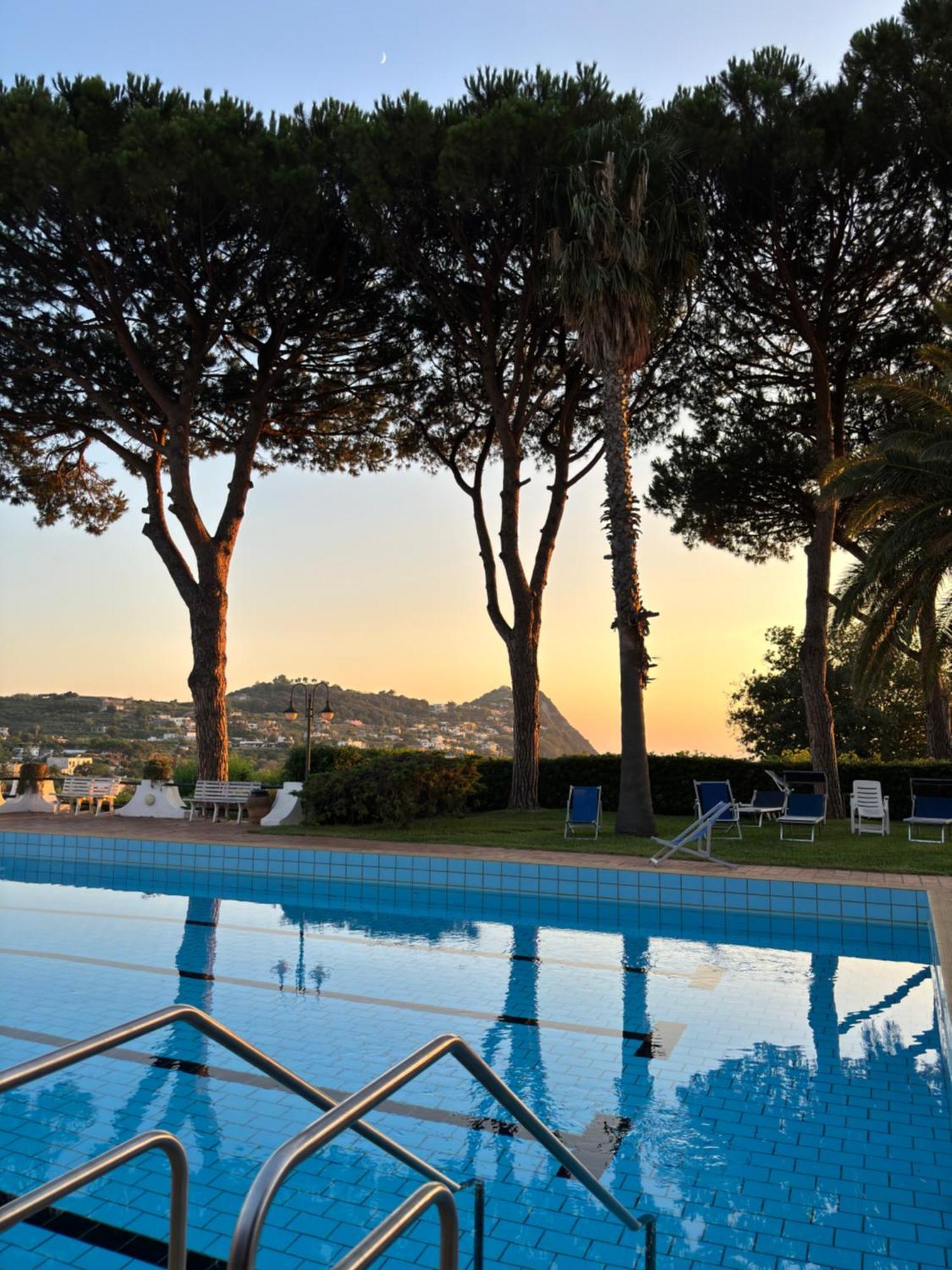 Villa Moma Giardino, Tennis E Piscina Panoramica Ischia Eksteriør bilde