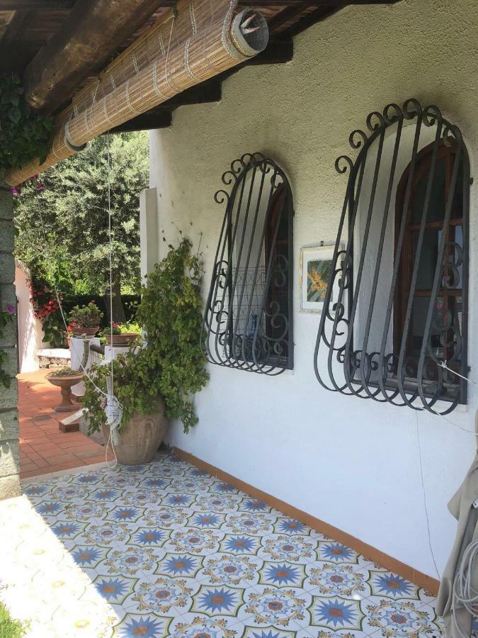 Villa Moma Giardino, Tennis E Piscina Panoramica Ischia Eksteriør bilde