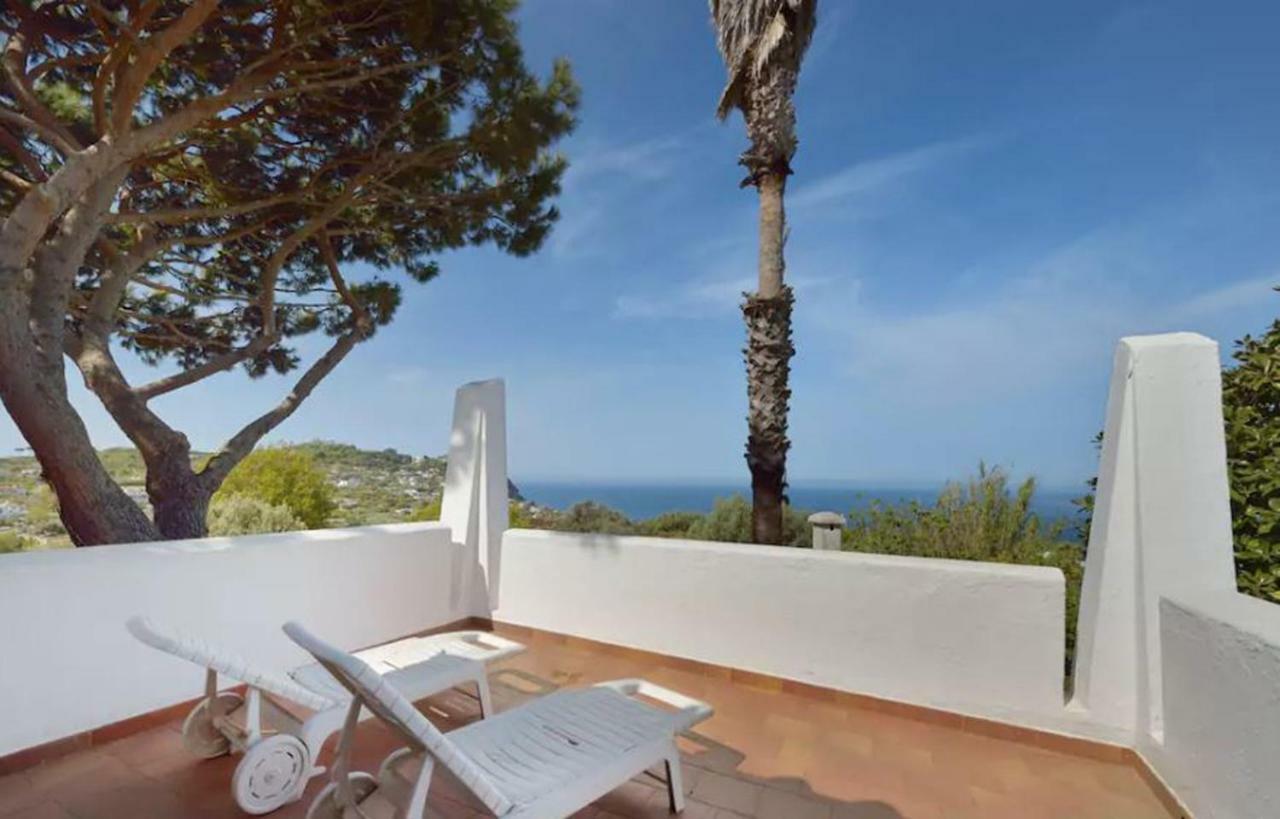 Villa Moma Giardino, Tennis E Piscina Panoramica Ischia Eksteriør bilde