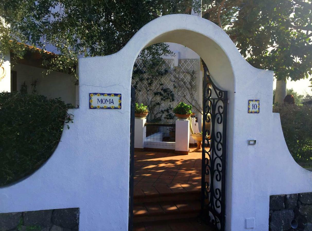 Villa Moma Giardino, Tennis E Piscina Panoramica Ischia Eksteriør bilde